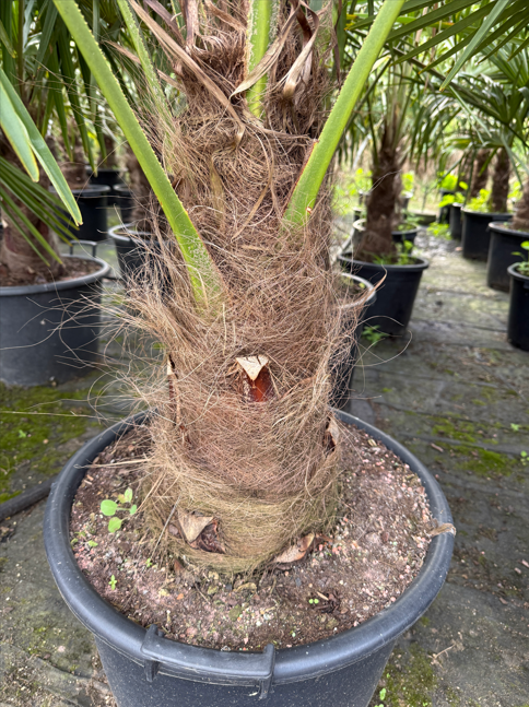 Snímek obrazovky 2025-11-25 134528